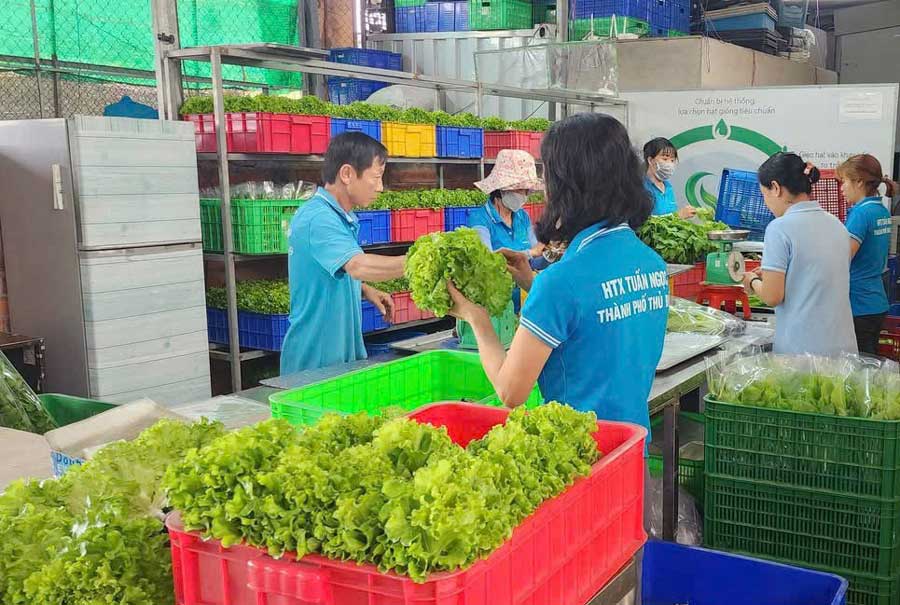 Việc sản xuất xanh sẽ giúp doanh nghiệp đáp ứng xu thế phát triển của thế giới và được người tiêu dùng ưu tiên lựa chọn.