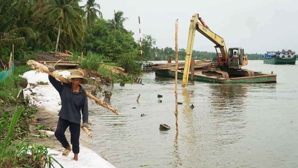 Bờ sông Măng Thít đoạn qua ấp Tân Quy, xã Tân Long Hội, huyện Mang Thít bị sạt lở gây hư hỏng một đoạn đường giao thông. 