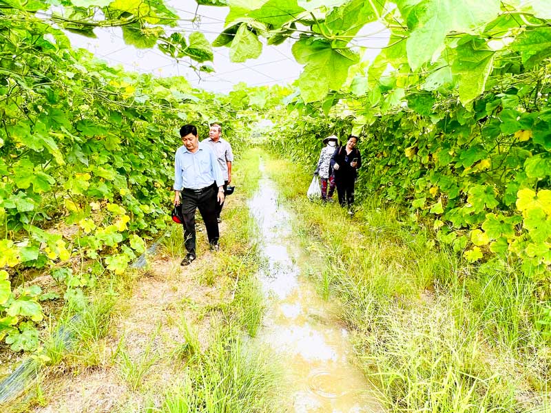 Anh Nguyễn Văn Út trong một lần tháp tùng phóng viên ra rẫy gặp nông dân. 