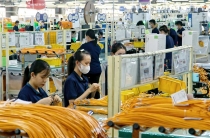 Phát triển công nghiệp đóng góp lớn vào tăng trưởng kinh tế