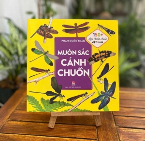 Nhiều sách thiếu nhi hấp dẫn dịp hè
