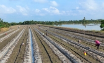 Khơi dậy tình yêu thương, giúp đỡ từ mỗi cộng đồng dân cư