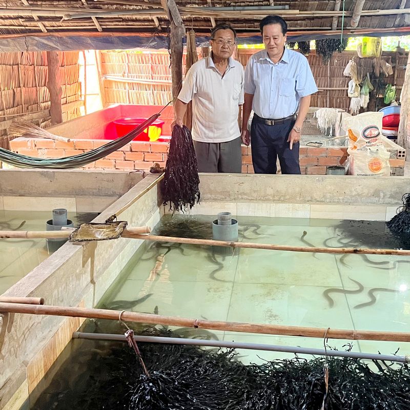 Tỉnh đang tiếp tục nhân rộng các mô hình chăn nuôi, trồng trọt có hiệu quả.
