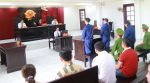 Trộm mai trong “vỏ bọc” người mua bán kiểng