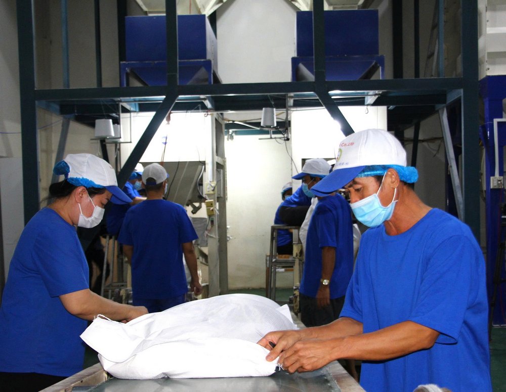 Công ty Trung An là doanh nghiệp đầu tiên xuất khẩu lô hàng mang nhãn hiệu “Gạo Việt xanh phát thải thấp” sang thị trường Nhật Bản