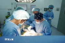 Hoàn thành 7 ca ghép tạng xuyên Việt từ một người chết não