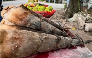 Thưởng thức măng núi