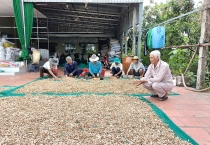 Chuyện về ông Sáu Kiệt xây nhà, sửa đường