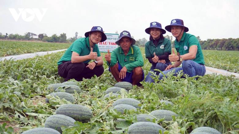 Giống cây trồng ở Tiền Giang, Bến Tre hút hàng, nhiều loại giá cao, khan hiếm