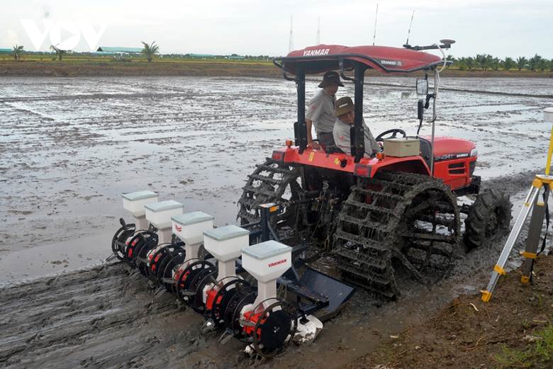 
Đề án vẫn cần chính sách hỗ trợ cụ thể cho người nông dân áp dụng mô hình sản xuất lúa chất lượng cao