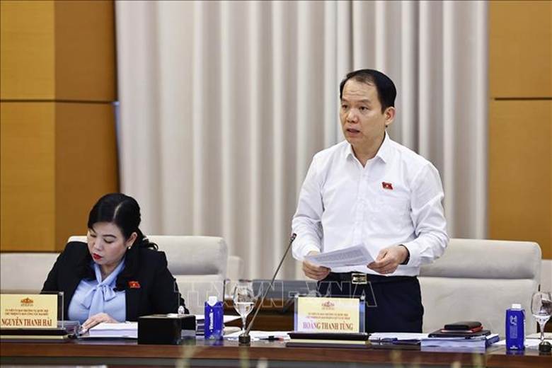 Chủ nhiệm Ủy ban Pháp luật và Tư pháp của Quốc hội Hoàng Thanh Tùng phát biểu. Ảnh: Doãn Tấn/TTXVN
