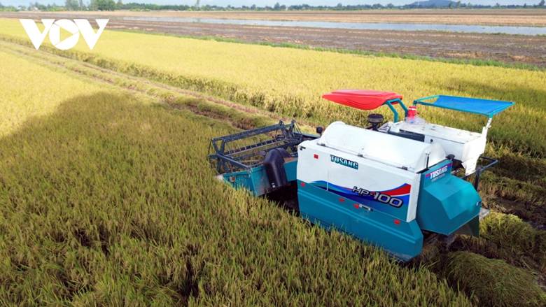 
Đề án 1 triệu ha lúa chất lượng cao, phát thải thấp vùng ĐBSCL là đề án đột phá, tạo tiền đề cho sự thành công của nông nghiệp Việt Nam