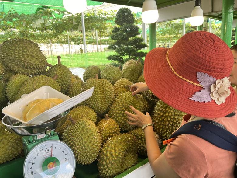 Tính từ ngày 1 - 8/6, Lễ hội trái cây Nam bộ năm 2025 đã tiêu thụ gần 100 tấn trái cây. Đây là một con số ấn tượng và minh chứng cho tình yêu của du khách dành cho nông sản Việt tại lễ hội này.