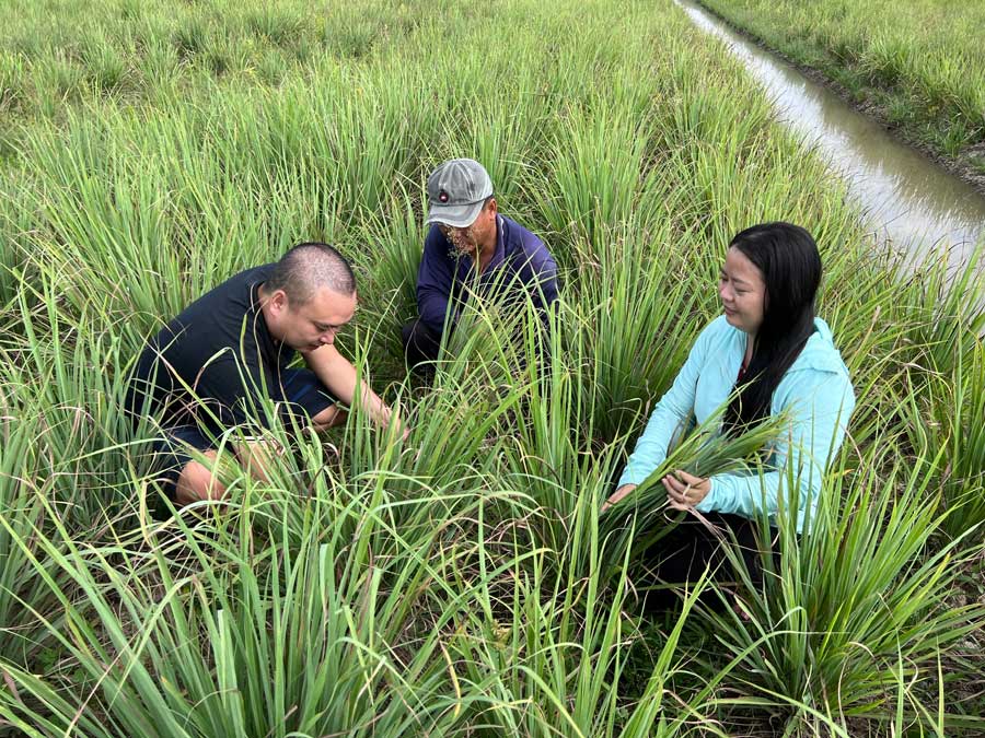 Nhà báo “lăn xả” trên cánh đồng cùng nông dân, kịp thời phản ánh các mô hình làm ăn mới. Ảnh: TUYẾT HIỀN