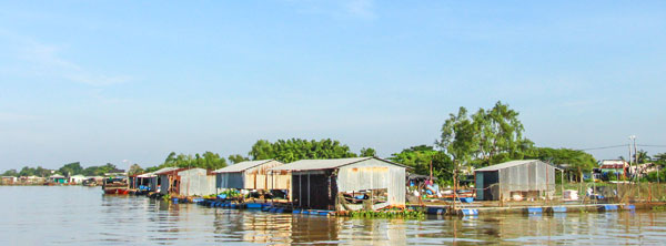 Người chăn nuôi chủ động biện pháp bảo vệ thủy sản vào mùa mưa. Ảnh: NGUYÊN KHANG

