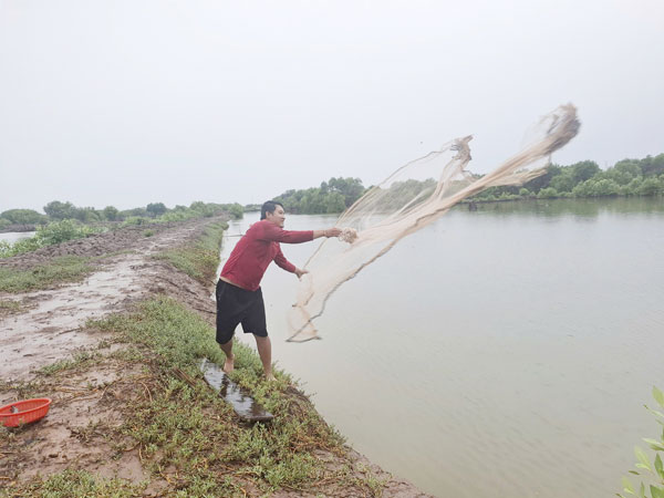 Các mô hình sinh kế tôm rừng tại xã Long Thành có nhiều điều kiện thuận lợi để triển khai hoạt động của Dự án IFIA Trà Vinh. Ảnh: MỸ NHÂN

