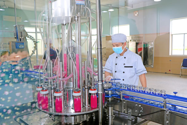 Chế biến sâu là hướng đi giúp doanh nghiệp tư nhân gia tăng giá trị sản phẩm, góp phần phát triển kinh tế địa phương. Ảnh: THẠCH THẢO

