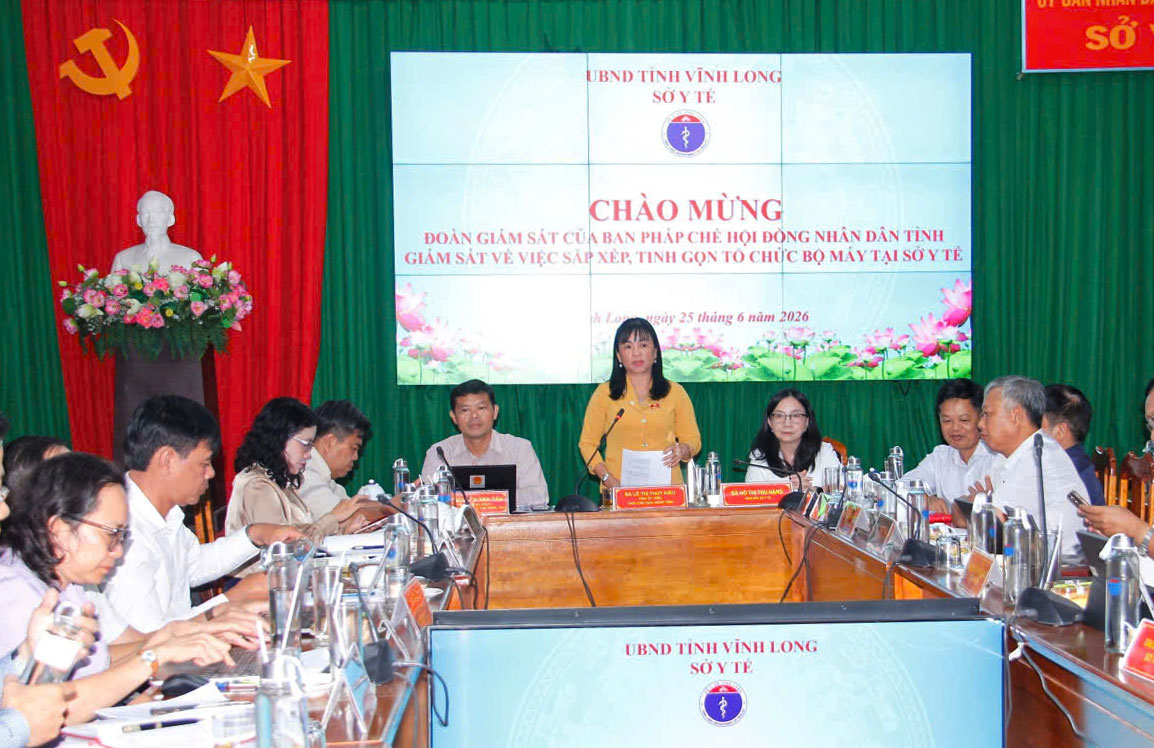 Phó chủ tịch HĐND tỉnh- Lê Thị Thúy Kiều phát biểu tại buổi giám sát.