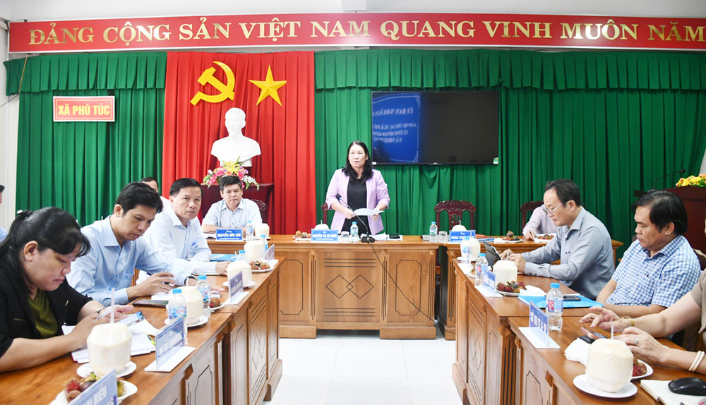 Phó Chủ tịch UBND tỉnh Nguyễn Thị Bé Mười phát biểu chỉ đạo tại buổi làm việc.