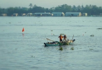  Nhớ mùa nước son