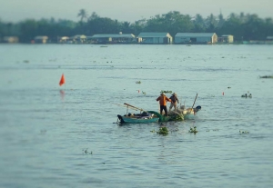  Nhớ mùa nước son