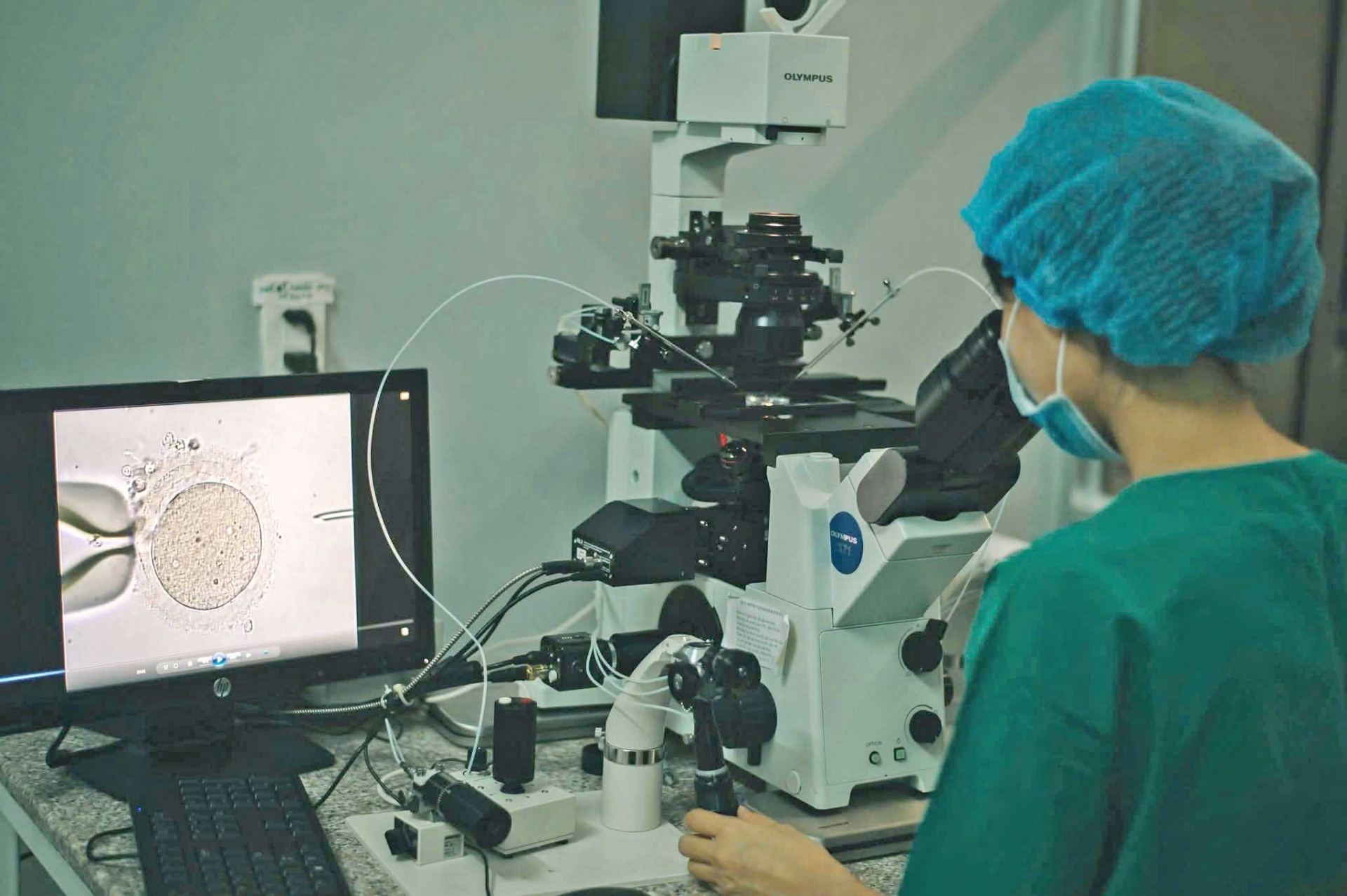 Chuyên viên phôi học làm việc trong phòng Lab. Ảnh: BVCC