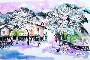 Mận trắng trời tháng bảy