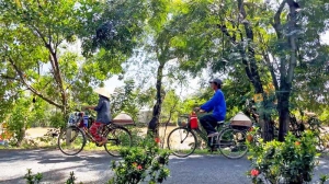 Chung bóng trên đường quê