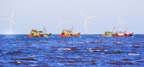 Nơi hội tụ nhiều “rồng” ra biển