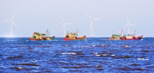 Nơi hội tụ nhiều “rồng” ra biển