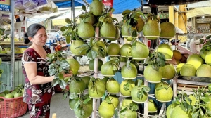Giá nhiều loại trái cây giảm