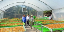Khâu đột phá phải gắn với thế mạnh của địa phương