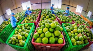Tập trung thực hiện các nhiệm vụ trọng tâm về nông nghiệp và môi trường