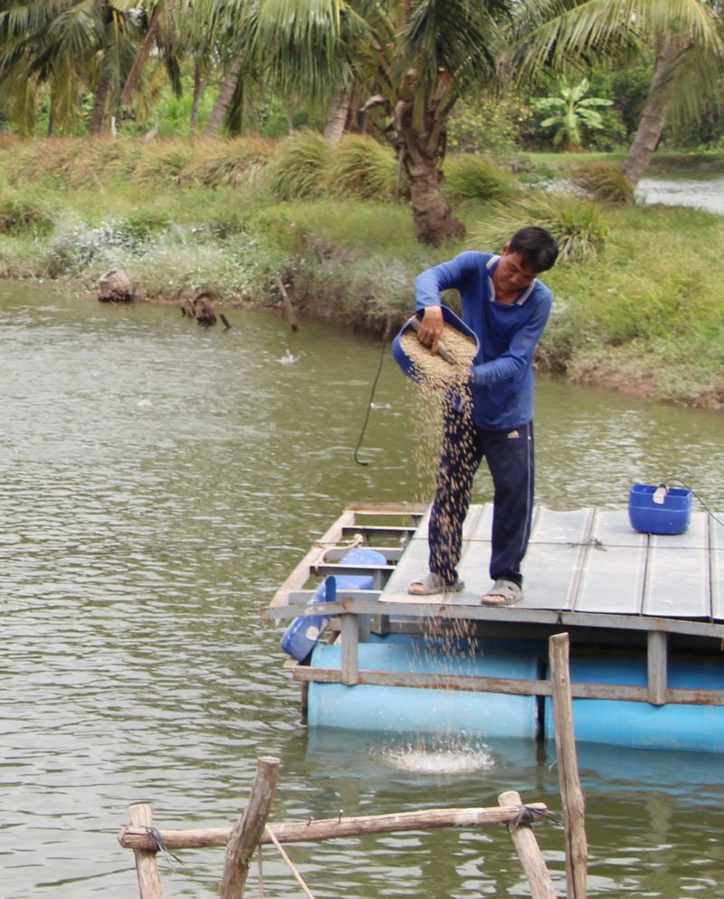 Ngành nông nghiệp tiếp tục vận động nông dân cải tạo ao, hồ, thả nuôi các đối tượng thủy sản theo lịch thời vụ.
