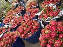 Cần minh bạch biện pháp SPS trong xuất khẩu thực phẩm