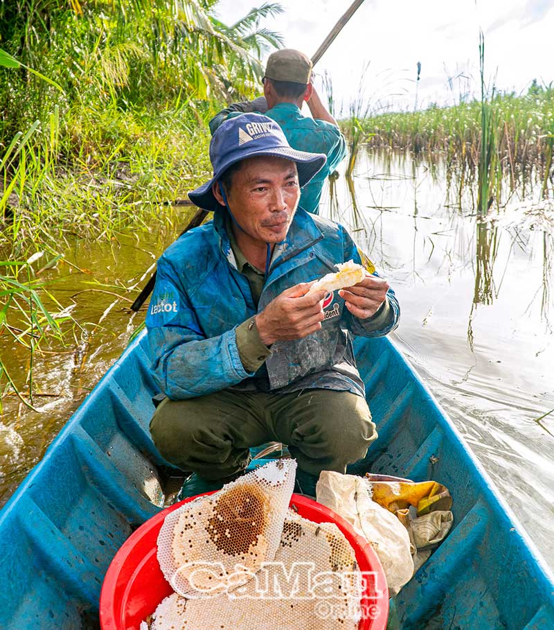 Thưởng thức mật ong nguyên chất trên đường đi dọn kèo ong.