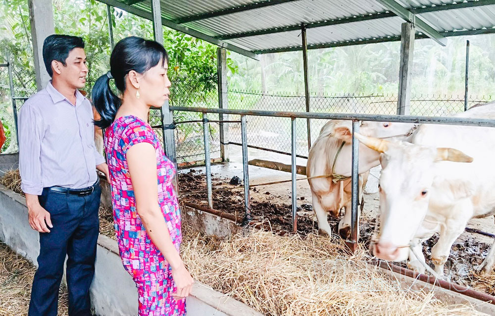 Nguồn vốn chính sách xã hội giúp hộ vay chăn nuôi, trồng trọt... góp phần cải thiện kinh tế gia đình.


