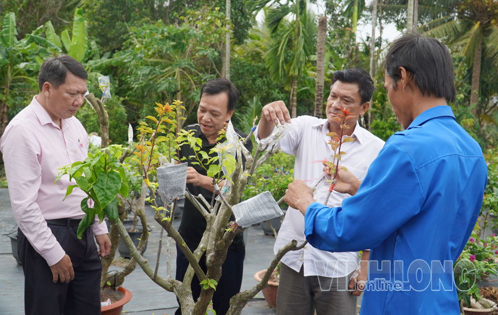Anh Nguyễn Thúc Ngân- đoàn viên ấp Vĩnh Hòa (thứ 2 từ trái sang) giới thiệu mô hình trồng cây hoa giấy.

Ảnh: PHAN HÂN

