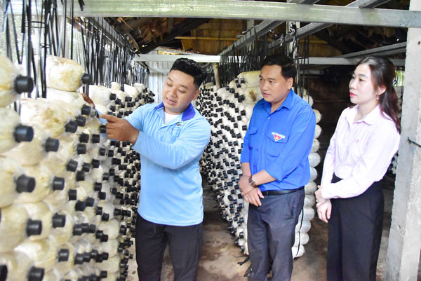 Anh Trần Hoàng Nhân (bên trái) chia sẻ quy trình trồng và chăm sóc nấm. Ảnh: MẪN QUÂN