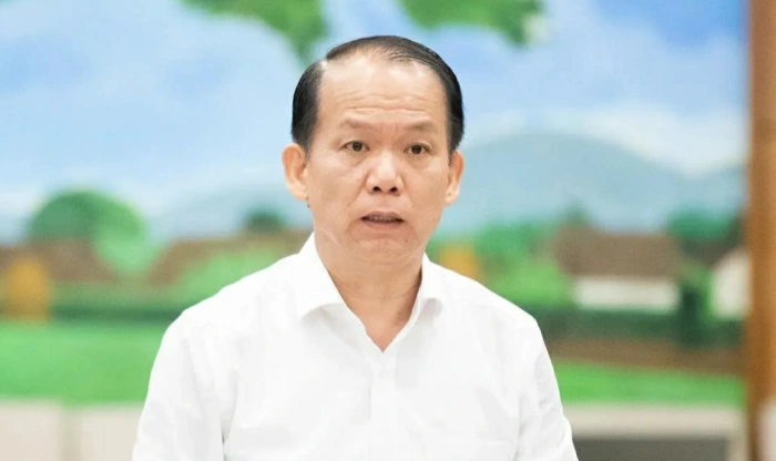 Sửa luật đấu giá để ngăn chặn ‘cò mồi’, trục lợi, bỏ cọc