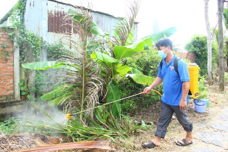 Ngành chuyên môn, địa phương, người dân đã áp dụng quyết liệt các biện pháp phòng trị bệnh SĐĐ.