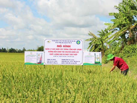 Ngành nông nghiệp tiếp tục thực hiện các biện pháp hỗ trợ nông dân đã sản xuất lúa theo IPHM hướng đến sản xuất đáp ứng các tiêu chí của đề án 1 triệu hecta.

