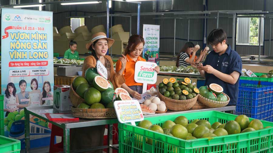 Thời gian tới, tỉnh sẽ tiếp tục quảng bá nông sản, đặc sản Vĩnh Long, mở rộng thị trường tiêu thụ thông qua các nền tảng số.