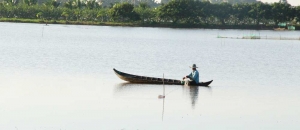 Chủ động phòng ngừa ứng phó mưa lớn, triều cường, bảo vệ sản xuất