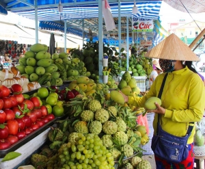 Giá trái cây giảm, nhà vườn gặp khó