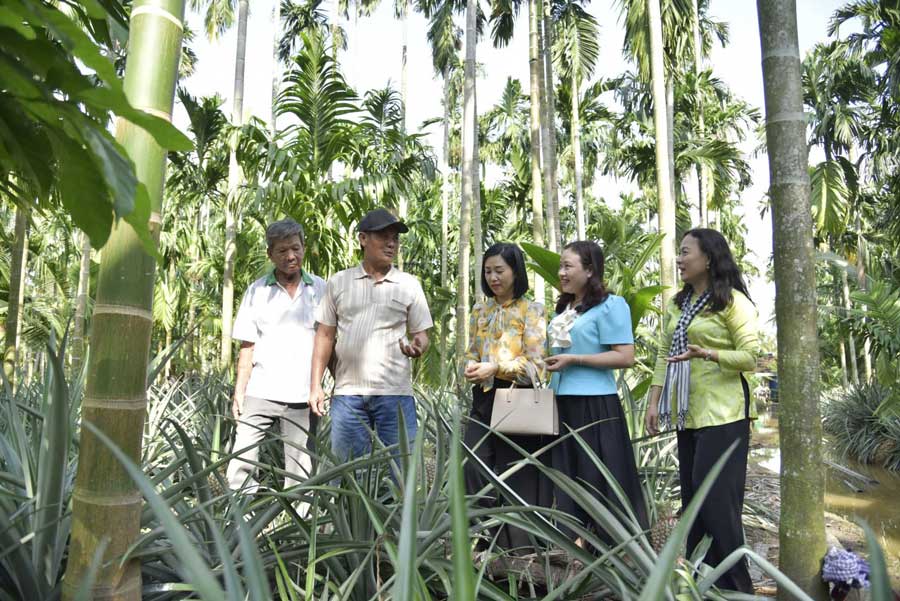 Du khách thích thú khám phá vườn khóm Tắc Cậu lừng danh.