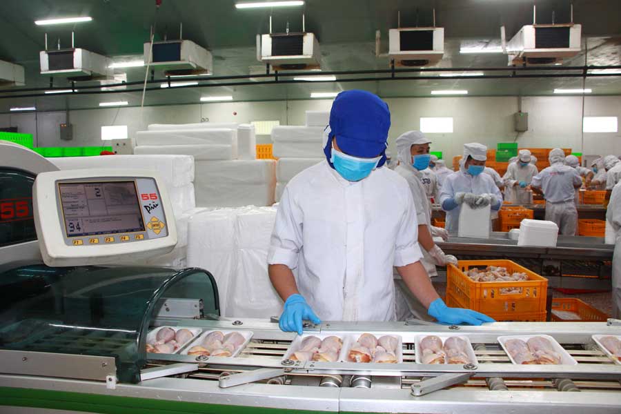 Năng lượng nguyên tử ngày càng thể hiện vai trò chiến lược là nguồn năng lượng xanh, sạch góp phần thúc đẩy phát triển ngành nông nghiệp hiện đại và bền vững.