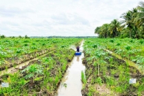 Đẩy mạnh phát triển hạ tầng chiến lược “tam nông”