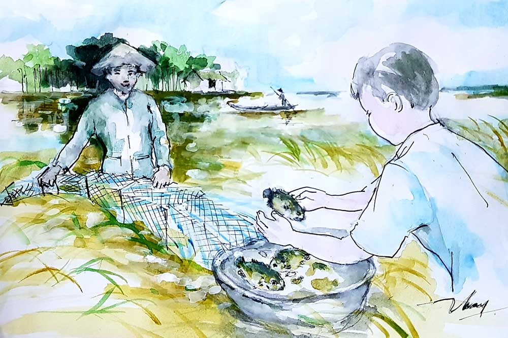 Truyện ngắn
Mùa cá đồng
Tín ngoài 30 tuổi, là dân thành phố chính hiệu, lớn lên từ miền quê sông nước nhưng đã hơn 10 năm xa rời bờ ruộng bến sông. Sau khoảng thời gian gồng mình trong nhịp sống hối hả và những áp lực công việc không dứt, anh quyết định xin nghỉ việc. Không phải vì thất bại, mà vì đã đến lúc không thể tiếp tục chịu đựng cái cảm giác mình như cái máy vận hành vì nghĩa vụ, không còn cảm xúc. Tín lên xe khách, mang theo ba lô nhỏ, một ít đồ đạc, và cái đầu nặng trĩu những câu hỏi chưa lời đáp.
Quê anh ở một vùng giáp biên giới, nơi mùa nước nổi là mùa trời đất thay da đổi thịt. Trở lại sau 10 năm, vừa bước xuống xe, anh đã bị vây quanh bởi thứ âm thanh quen thuộc đến nao lòng: tiếng nước róc rách tràn qua đồng, tiếng ếch nhái râm ran từ mé mương, và cả tiếng gió đùa trên rặng tre già. Mùi bùn đất ngai ngái, mùi cỏ dại vừa bị ngập nước, tất cả ùa vào như một dòng ký ức vỡ òa. Mùa nước nổi, mùa cá đồng về, anh đã từng mong ngóng nó như một phần tuổi thơ. Lúc ấy, mỗi buổi chiều lội ruộng đặt lọp, kéo vó, là những ngày đáng nhớ nhất.
Chiếc xuồng nhỏ của chú Ba, người hàng xóm năm xưa đang được đẩy ra khỏi mé bờ. Chú nhìn thấy anh, mắt sáng lên, cười lớn: “Tín đó hả? Trời đất ơi, bữa nay mới thấy mặt mày đó nghen!”. Tín thấy cổ họng mình nghẹn lại. Anh gật đầu, cười nhẹ, nhưng trong lòng là cơn sóng ngầm cảm xúc.
Tối hôm đó, ngồi trên chiếc chõng tre quen thuộc sau nhà, anh nghe tiếng côn trùng râm ran, nhìn trăng lấp ló sau mảng mây mỏng. Lòng chợt lặng đi khi nhớ lại những ngày thơ ấu. Mùa nước nổi, cá tràn đồng, lũ trẻ con háo hức như mở hội. Những con cá linh đầu mùa, những con cá rô đen sậm, béo tròn, trườn mình qua đám cỏ lác ngập nước, tất cả là một phần máu thịt của miền quê ấy. Và Tín, giữa những ngày cạn kiệt tinh thần nơi thành phố, bỗng thấy lòng mình run lên khi nghe tiếng nước vỗ nhẹ vào mạn đất.
“Mùa cá đồng về, nước nổi trắng ruộng, cũng là lúc lòng người chộn rộn những ký ức không tên…”
***
Có những thứ trong đời, người ta chỉ nhận ra nó quý khi đã đi quá xa khỏi nó. Như là mùi bùn non bám đầy kẽ tay. Như cái cảm giác lạnh tê khi nước đồng thấm vào tới tận ruột gan. Và như những buổi sớm lặng gió, hai cha con cùng nhau đi đặt lú giữa mùa nước nổi.
Tuổi thơ của Tín trôi trên những cánh đồng trắng nước, lưng chừng giữa trời đất và những giấc mơ con con. Nước từ thượng nguồn đổ về cuồn cuộn, tràn ruộng, tràn bờ, cuốn theo lũ cá đồng bơi ngược dòng tìm chỗ đẻ. Người lớn thì chuẩn bị vó, lú, nò, lưới. Con nít háo hức vì được đi theo cha, được lội nước, được thấy cá giãy đành đạch trong lưới mà reo lên như bắt được cả mùa vui.
Tín nhớ rõ, năm nào cha cũng gác lại chuyện đồng áng, lo làm mấy chục cái lú bằng lưới nilon, viền sắt cong cong. Rồi hai cha con xách nó ra đồng từ sớm, khi sương còn giăng đầy trên ngọn lúa lác. Nước tới đầu gối, có khi ngang hông, cha đi trước dò đường, Tín lẽo đẽo theo sau, mắt nhìn quanh coi có cá lướt qua không. Cha hay dặn: “Đừng giẫm lên hang rắn nước, cẩn thận chỗ có rong trơn nghe con”.
Họ bì bõm một đoạn dài mới bắt đầu thả lú, mỗi cái cách nhau một quãng. Đặt lú xong, cha con về nhà nghỉ chút, trưa quay lại thăm lú. Mỗi lần kéo lú lên, tim Tín đập thình thịch. Lưới giật giật, bên trong có gì đó vùng vẫy. Khi thấy cá linh con, cá rô mập ú, cá trê vàng ươm mắc lú, hai cha con mừng rỡ như vớ được vàng. Tín nhớ nhất là ánh mắt cha lúc đó- sáng lên như đốm lửa trong đêm. Không cần nói gì, chỉ cần nhìn thôi, là biết ông vui cỡ nào.
Cá mang về nhà, mẹ đón lấy, tay thoăn thoắt làm sạch, nêm nếm rồi bắc nồi canh chua nấu với bông điên điển hái sau vườn. Món đó, ăn tới già vẫn nhớ mùi. Chua của me, ngọt của cá linh non, thơm thoảng của rau ngổ, ngò om. Món quê, nấu đơn giản mà hễ xa là nhớ. Có khi cá nhiều quá, mẹ đem kho mắm, hoặc chiên giòn chấm nước mắm chanh tỏi ớt. Căn bếp chái bằng tôn cũ rích nhưng chưa bao giờ thiếu tiếng nói cười. Có lần trời mưa lớn, cha con về muộn, áo quần ướt mèm, tóc tai rối bù. Mẹ vẫn ngồi chờ, ánh đèn dầu leo lét soi gương mặt mẹ dịu dàng, hỏi: “Được nhiều không hai cha con?”. Không phải hỏi cá nhiều hay ít, mà là hỏi có mệt không, có lạnh không, có đói không.
Những buổi tối mùa nước nổi, cả nhà quây quần quanh mâm cơm. Tiếng mưa rơi rì rào ngoài mái lá, tiếng mẹ rót nước, tiếng cha kể chuyện cười cợt về con cá trê lớn xém xé rách lú, về cú vấp té giữa đồng làm lấm bùn từ đầu tới chân. Mỗi kỷ niệm nhỏ như hạt phù sa, góp lại thành con đê kỷ niệm vững chắc trong lòng Tín. Dù sau này đi đâu, sống thế nào, anh vẫn mang theo con đê ấy giữ cho tim mình khỏi trôi dạt giữa đời.
Mùa nước nổi không chỉ là mùa cá về, mà còn là mùa tình thương đong đầy. Lúc nhỏ, Tín chẳng thấy gì đặc biệt, chỉ nghĩ đó là điều tự nhiên. Lớn lên, xa nhà, anh mới thấm. Mỗi con cá dính lú là một phần cực nhọc của cha, một bữa cơm ấm bụng của mẹ. Cá không chỉ là món ăn mà là ký ức, là chất kết dính tuổi thơ tôi với cha mẹ, với ruộng đồng.
Có lần anh hỏi mẹ: “Sao hồi đó nhà mình nghèo vậy mà con thấy vui dữ vậy mẹ?”. Mẹ cười, vuốt tóc anh như hồi còn bé: “Tại nghèo nên mới thương nhau nhiều hơn đó con”.
Tín ngồi nhớ lại, nghe lòng mềm đi như bùn dưới chân sau một đêm ngập nước. Thành phố 10 năm qua dạy anh cách kiếm tiền, cách giữ thể diện, cách sống nhanh. Nhưng chỉ nơi đây, giữa đồng trắng mênh mông, trong căn bếp cũ và tiếng cha cười vang một thuở, mới dạy anh cách sống thật lòng.
“Cá không chỉ là món ăn mà là kỷ niệm, là chất kết dính tuổi thơ tôi với cha mẹ, với ruộng đồng…”
***
Tín rời quê năm 18 tuổi, mang theo giấc mơ học hành và một lời hứa với cha mẹ: “Con sẽ thành người có ích”. Lên thành phố, anh như con cá được quăng vào dòng nước xiết, ban đầu lạ lẫm, sau thì trôi theo như một phản xạ. Học xong đại học, anh làm cho một công ty truyền thông lớn. Mỗi ngày là một guồng quay vội vã, những dự án, họp hành, rồi các mối quan hệ có người đến, có người đi, chẳng ai nhớ được ai lâu.
Cha ở quê lâu lâu gọi điện, giọng vẫn ấm nhưng ngày càng nhỏ dần: “Tuần sau cá về rồi đó con, có về đặt lú với cha không?”. Tín ngập ngừng rồi từ chối. Lý do nào cũng giống nhau: bận.
Bận như cái áo anh mặc mỗi ngày, che đi những điều cũ kỹ bên trong. Có lúc giữa đêm, nghe mùi bùn từ ký ức thoảng qua, anh suýt gọi về nói “cha chờ con”, nhưng rồi lại thôi. Sáng hôm sau, vẫn là họp, là email, là bản kế hoạch chưa hoàn chỉnh. Đồng quê, cá linh, ánh đèn dầu... dường như ở một thế giới khác xa lắm, mờ lắm, chỉ còn lại trong giấc mơ lúc về khuya.
Rồi mẹ mất.
Anh về chịu tang trong lặng lẽ. Đám tang không đông. Những người bà con chòm xóm cũ, vài người thân bên ngoại, và cha gầy xọp, câm lặng như cái bóng. Tín đứng trước bàn thờ mẹ mà không khóc được. Không phải vì không đau, mà vì đau nhiều quá, thành tê dại. Hồi mẹ còn sống, mỗi lần gọi điện, bà chỉ hay dặn: “Về ăn cơm với mẹ một bữa nghen con”. Tín cứ khất lần. Đến khi về, mâm cơm đã nguội lạnh, mẹ cũng chẳng còn ngồi đợi bên đèn dầu.
Từ đó, Tín càng ít về. Phần vì công việc, phần vì sợ. Sợ đối diện với sự trống vắng trong căn nhà thiếu bàn tay người phụ nữ. Sợ nghe tiếng guốc của mẹ trong trí nhớ mà ngoảnh lại chẳng thấy ai. Sợ thấy cha già đi từng ngày, mà mình thì bất lực, không biết làm gì ngoài việc gửi ít tiền về mỗi tháng.
Lần này, sau gần 2 năm, anh mới về lại không vì tang, không vì giỗ chạp, mà vì chính mình thấy mệt. Mệt quá rồi. Cái xô bồ của thành phố làm anh như bị bào mòn, đánh rớt dần từng lớp ký ức quê mùa còn sót lại.
Cha giờ ở một mình. Vẫn căn nhà cũ, nhưng mái lá đã thay bằng tôn. Vườn sau không còn rau dại, thay bằng vài luống bắp do người hàng xóm trồng giùm. Cha không ra đồng nữa. Lưng còng xuống, chân đi chậm, mắt mờ, tai nghe cũng không rõ như xưa. Khi thấy Tín, ông chỉ gật đầu, không hỏi gì nhiều. Hình như, sau những lần đợi hoài không thấy, cha cũng không muốn kỳ vọng nữa.
Buổi chiều, Tín đi bộ ra đồng. Nước đã dâng trắng bãi. Nhưng đồng không còn đông như thuở nào. Bọn trẻ ngày xưa đi đặt lọp, kéo vó, giờ lên phố học, hoặc theo cha mẹ làm xưởng. Ruộng nhiều chỗ đã bị bán cho người dựng trang trại, đắp đê, nuôi cá công nghiệp. Đồng vẫn còn đó, nhưng lặng. Như người già đã thôi kể chuyện xưa.
Tín đứng giữa bờ đê, nhìn về phía xa. Trời sẫm màu. Có tiếng gió rít nhẹ qua bờ cỏ. Anh nhắm mắt, cố hình dung lại cảnh cũ: tiếng cha cười khi móc được mẻ cá nhiều, tiếng mẹ gọi vọng ra: “Tín ơi, rửa tay ăn cơm con!”. Nhưng ký ức như cuộn phim mờ, chỉ hiện lên từng đoạn, chập chờn. Anh bỗng thấy mình lạc lõng giữa nơi mình sinh ra.
Không phải vì nơi này thay đổi quá nhiều. Mà vì chính anh đã đổi thay. Anh từng chạy trốn cái nghèo, cái bùn đất, cái nhà quê để vươn lên thành người thành thị. Nhưng rồi, sau tất cả, giữa những ánh đèn thành phố không có nơi tựa, Tín nhận ra thứ mình thiếu không phải là tiền, mà là chỗ để lòng mình quay về.
Có lẽ đồng quê chưa bao giờ rời khỏi anh. Chỉ là, anh đã rời nó quá lâu.
***
Sáng hôm ấy trời không nắng gắt, chỉ có mây loang nhẹ như khói lam giăng trên rặng tre cuối vườn. Tín đang ngồi nơi bậc thềm, tay cầm ly cà phê pha bằng nước giếng cũ, thì nghe tiếng cha phía sau:
“Hôm nay nước đang lớn... hay là mình ra đồng đặt lú nghen con?”.
Tín quay lại, bất giác ngập ngừng. Anh nhìn cha, dáng nhỏ thó hơn xưa, chiếc nón lá trên đầu đã sờn vành, tay xách cái giỏ nhựa cũ đã tróc màu. Hình ảnh ấy quen đến mức nhói tim. Bao lần cha rủ, anh từ chối. Bao mùa nước nổi đã qua, giờ chỉ còn mỗi mùa này... và người cha đang lặng lẽ đứng chờ.
Anh gật đầu.
Không nói thêm gì. Chỉ có cái gật đầu, nhưng trong đó chứa cả ngàn lần “xin lỗi” mà anh chưa từng thốt ra. Cha không cười lớn, chỉ nhẹ gật đầu lại, mắt ánh lên chút gì đó như thở phào.
Họ băng qua con đường làng xưa, giờ đã rải đá, hai bên cỏ vẫn mọc hoang. Ra tới bờ ruộng, Tín ngửi thấy mùi bùn non, thứ mùi ký ức mà nhiều năm anh tưởng đã mất. Nước trắng đồng, gió lùa mát rượi, và những con chim chơ vơ hót líu lo trên ngọn lúa vừa nhú mầm sau lũ. Cánh đồng cũ vẫn đây, chỉ khác là không còn những đứa trẻ reo hò kéo vó, chỉ còn hai bóng người đi chậm giữa biển nước loang loáng ánh trời.
Cha thả từng cái lú xuống nước, tay chậm rãi nhưng vẫn chắc. Tín đi sau, học lại từng động tác cũ. Ngày trước, chính cha là người dạy anh cách cắm lú xuôi dòng, cách nhìn dòng nước để biết chỗ cá hay qua lại. Bây giờ, vẫn là cha, nhưng tóc bạc hơn, giọng trầm hơn, và từng bước đi cũng thấp thoáng dấu hiệu của thời gian.
Lúc thăm lú, cái cảm giác hồi hộp quen thuộc bỗng trở lại. Mỗi lần kéo lú lên, mắt Tín sáng lên như đứa trẻ, tim đập thình thịch. Khi thấy mấy con cá linh quẫy đạp bên trong, anh bật cười tiếng cười không to nhưng trong veo. Tay thọc sâu xuống bùn, bắt được con cá trê béo múp, nhớ lại hồi nhỏ từng bị đâm gai, bật máu mà vẫn mê. Cái niềm vui nguyên sơ ấy chưa hề biến mất nó chỉ ngủ yên đâu đó trong anh, chờ ngày thức dậy.
Cha đứng phía sau, nhìn anh lom khom móc lú, ánh mắt dịu dàng. Ông không bắt nhiều cá, cũng không nói nhiều. Chỉ tới khi hai cha con ngồi nghỉ bên bờ ruộng, ông mới thủng thẳng nói:
“Cá nhiều không bằng vui... Về với cha lần này là đủ rồi”.
Tín quay sang nhìn cha. Không biết vì ánh nắng rọi thẳng hay vì thứ gì khác mà mắt anh cay. Một câu nói nhẹ tênh, nhưng khiến anh nghẹn lại. Bấy lâu nay, anh cứ nghĩ mình bận, mình lớn, mình có lý do để đi xa. Nhưng có lẽ cha chưa từng cần gì ngoài một lần anh về, một lần đi cùng ông ra đồng, cười với ông như ngày xưa.
Cánh đồng lặng như tờ, chỉ có tiếng chim và tiếng gió rì rào qua bụi năng.
Giữa đồng trống, lần đầu tiên sau nhiều năm, Tín thấy mình bé lại thấy mình như thằng nhỏ năm nào, lội bì bõm theo cha trong mùa nước nổi, tóc ướt mồ hôi, tay xách giỏ cá, miệng không ngớt nói cười. Và quan trọng hơn hết, anh thấy mình còn thuộc về nơi này.
Không phải vì ruộng lúa, không phải vì con cá linh hay cây cầu khỉ, mà vì vẫn còn một người đang đi bên anh lặng lẽ, chậm rãi, nhưng chưa bao giờ rời bỏ.
***
Tín dự tính chỉ về vài ngày. Nhưng sau buổi giăng lú với cha hôm ấy, anh ở lại thêm. Rồi thêm chút nữa. Rồi chẳng buồn đếm nữa. Thời gian trôi chậm ở quê, như nước đồng lững lờ trôi qua bờ cỏ dại. Không có ai hối thúc, cũng không ai cần anh phải trở thành điều gì lớn lao. Anh chỉ là mình, một người con của đất bùn, của con cá linh đầu mùa và tiếng ếch nhái đêm đêm râm ran dưới mương.
Anh phụ cha sửa lại cái chòi cũ ngoài đồng, nơi ngày xưa cha hay mắc võng nằm trưa, nghe gió mát lùa qua rặng trâm bầu. Cái chòi giờ mục nát, mái dột, tre mục nhưng khi dựng lại từng cây cột, từng vách lá, anh có cảm giác như đang dựng lại một phần tuổi thơ đã gãy đổ trong mình. Rồi anh trồng lại mớ rau sau nhà, cải con, rau răm, rau ngổ... Đám đất mẹ vẫn còn màu mỡ, chỉ cần ai chịu cúi xuống chăm.
Buổi chiều, Tín ra thăm bà Tư hàng xóm, người hay dúi cho anh củ khoai nướng hồi nhỏ. Qua nhà chú Ba, nghe kể chuyện tụi nhỏ giờ đi thành phố làm công ty, có đứa làm công nhân, đứa chạy xe ôm. Anh gật gù, tay rót trà, lòng chộn rộn như vừa được chắp nối lại một phần đời mình từng đánh rơi.
Một hôm, trời mưa rả rích từ sáng. Tín lọ mọ vào bếp, lần theo ký ức mà nấu bữa cơm giống hệt hồi mẹ còn sống. Canh chua cá linh bông điên điển. Cá rô chiên giòn chấm nước mắm chanh tỏi ớt. Mùi thơm bốc lên trong căn bếp cũ, ám đầy vào vách, vào từng nếp áo anh đang mặc. Cha ngồi ăn chậm rãi, gắp từng miếng như sợ làm vỡ ký ức. Rồi ông ngẩng lên, mắt đỏ hoe:
“Mùi giống mẹ mày nấu quá... Hồi đó, bả nấu, tao ăn ba chén mới thôi”.
Tín cười. Không nói gì. Chỉ ngồi đối diện cha, giữa bữa cơm quê bình dị, mà nghe lòng mình đầy đến nỗi không thể thở nhanh.
Những đêm ở lại, anh mang giấy bút ra ngồi ở bậc thềm. Viết. Không phải vì công việc, không vì khách hàng, không vì yêu cầu gì cả. Chỉ là viết cho chính mình. Cho cha. Cho mẹ. Cho những ngày xưa đã trôi đi mà vẫn còn ngân trong tim như tiếng nước vỗ bờ:
“Mùa cá đồng”
Đó là tên anh đặt cho những dòng hồi ký đầu tiên của mình không hoa mỹ, không u sầu. Chỉ là những mảnh vụn của tuổi thơ được ghép lại, từng con cá mắc lú, từng đêm nghe mẹ ho khan ngoài chõng tre, từng giọng cha vọng lại giữa đồng nước mênh mông.
Viết đến đâu, anh thấy lòng mình lắng lại đến đó. Viết, như thể để giữ lại mùa nước nổi này, mùa cuối cùng anh còn được đi đặt lú với cha, còn được ngửi mùi cá rô chiên vàng ruộm trong bếp mẹ từng đứng.
Sau này, có thể anh sẽ rời đi, về lại thành phố, về lại cuộc sống nhộn nhạo mà anh từng chọn. Nhưng anh biết, sẽ không bao giờ rời hẳn. Vì quê không giữ chân anh bằng sợi dây trói, mà bằng những ký ức dịu dàng nhất đời người.
Nó nằm trong mùi bùn dậy lên sau mưa. Nằm trong ánh mắt cha hôm giăng lú. Nằm trong tiếng nước vỗ bờ đêm khuya. Và nằm sâu trong từng dòng chữ anh viết, từ một góc nhỏ giữa đồng, nơi anh một lần nữa được làm đứa trẻ, được thuộc về.
“Dù đi đâu, thì trong tôi, mùa cá đồng sẽ không bao giờ cạn”.
•	LIÊN PHẠM
 
Minh họa: TRẦN THẮNG
 
