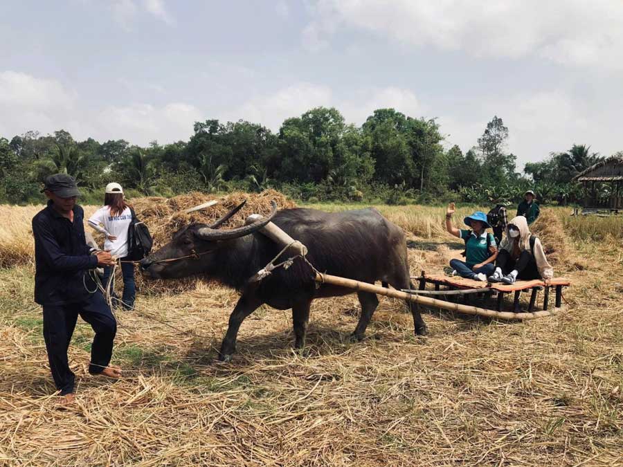 Du khách được trải nghiệm không gian văn hóa lúa mùa của người xưa.